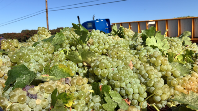 https://tierralunacellars.com/wp-content/uploads/2025/09/H5-640x360.png