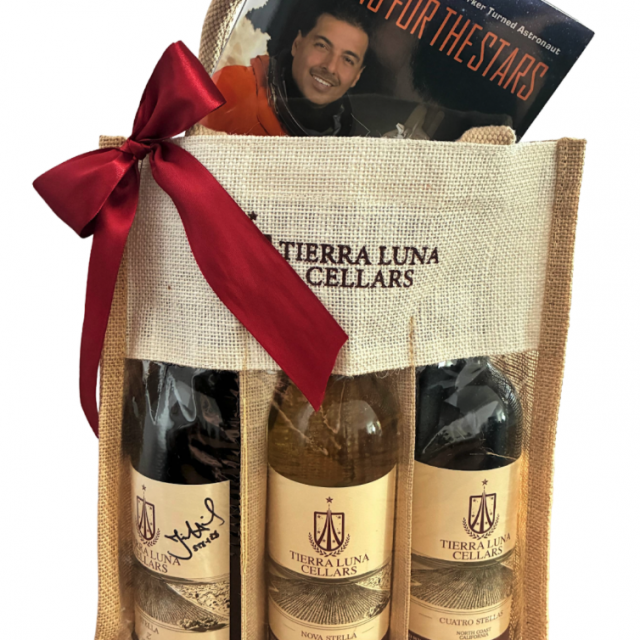 Holiday Gift Bag - Reaching for the Stars Edition