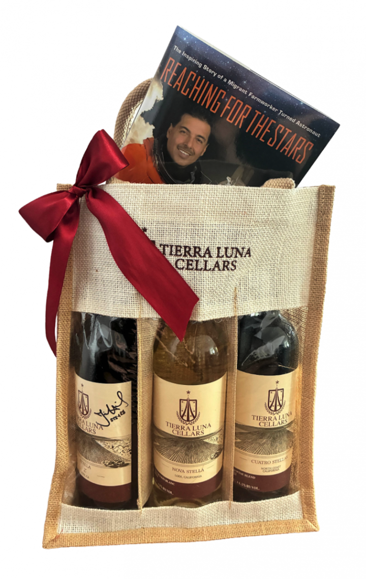 Holiday Gift Bag - Reaching for the Stars Edition