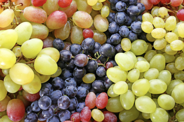 Variety of grapes